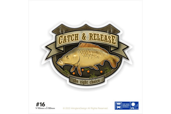 Catch & Release I